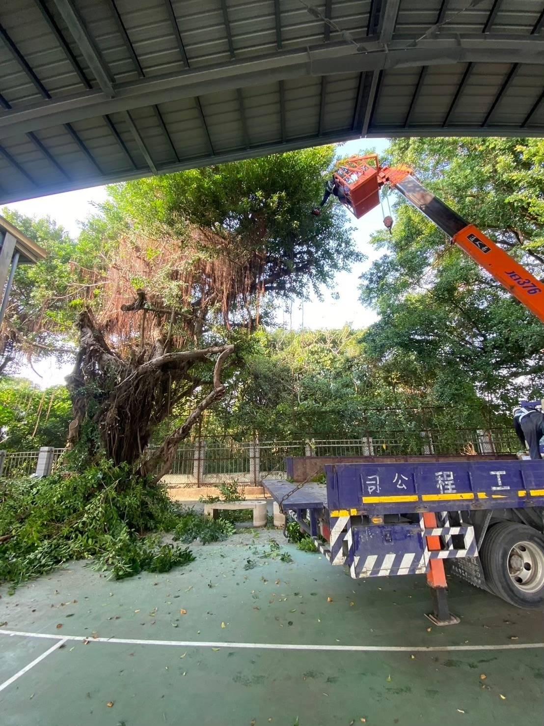 太陽能案場鋤草與樹木遮蔭修剪